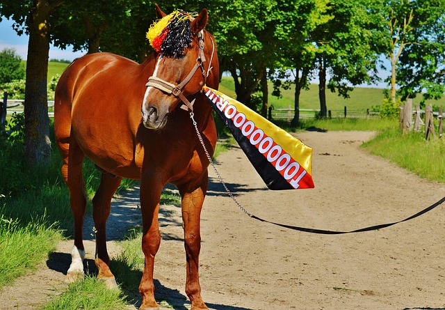 助力中国冰 助力中国冰