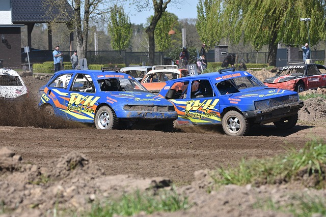 度滑冰的意 度滑冰的意