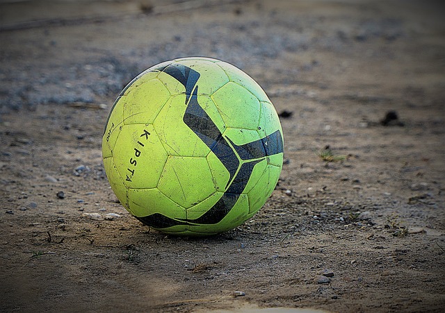 的皇家社会 的皇家社会