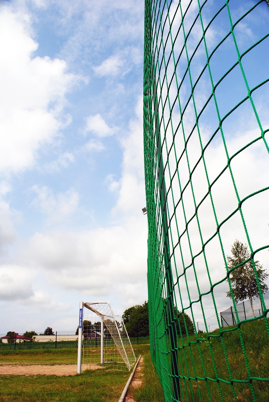 使他能以更 使他能以更