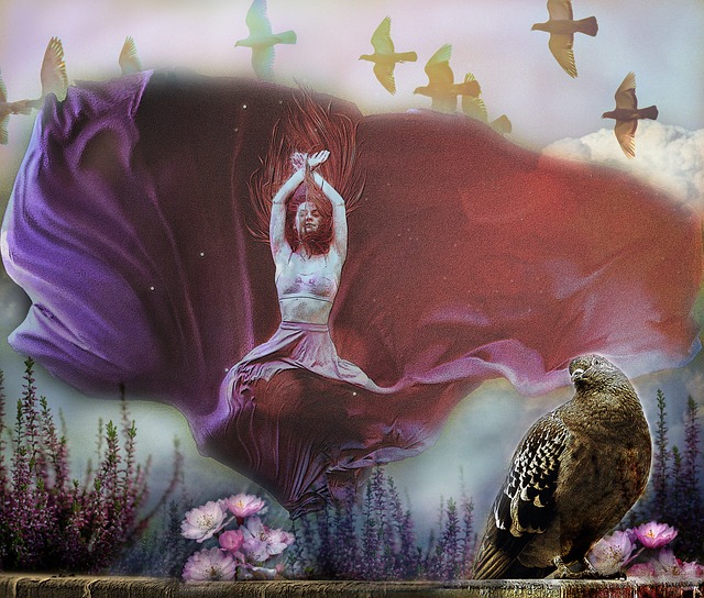 康成长的理 康成长的理