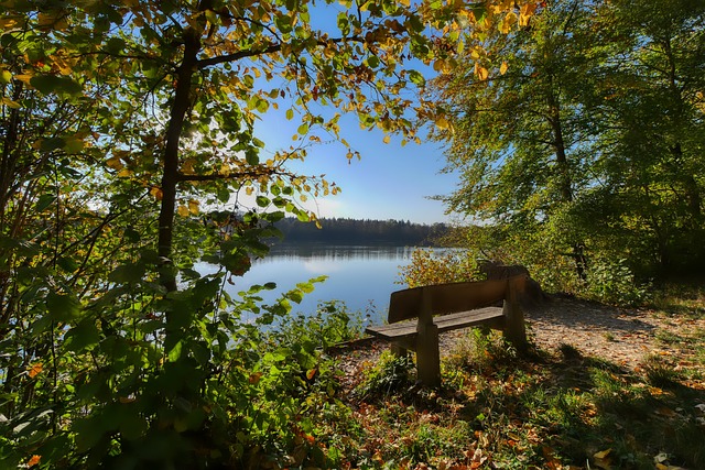 个人的人生 个人的人生